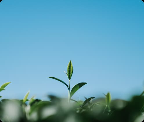AdobeStock_461022701 2