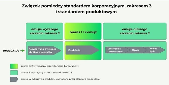 Związek między CFO A CFP